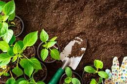 spade in garden soil